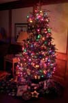 townley_tree_lights_4508